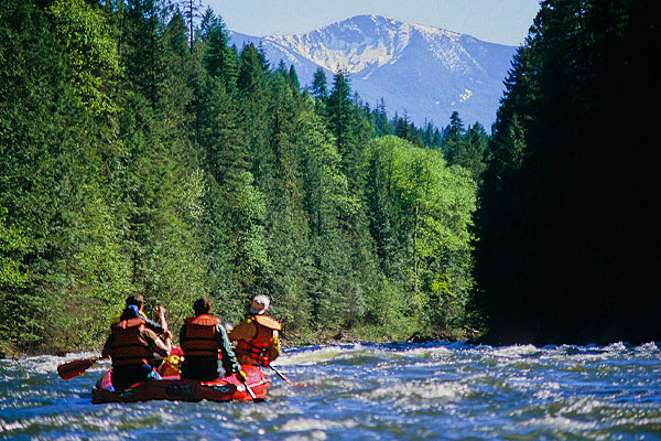 Back Country Packing in via pack goats