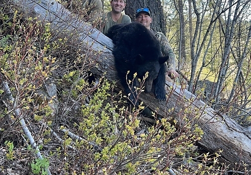 Bearandtheboys