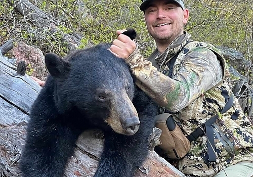 CodyBear