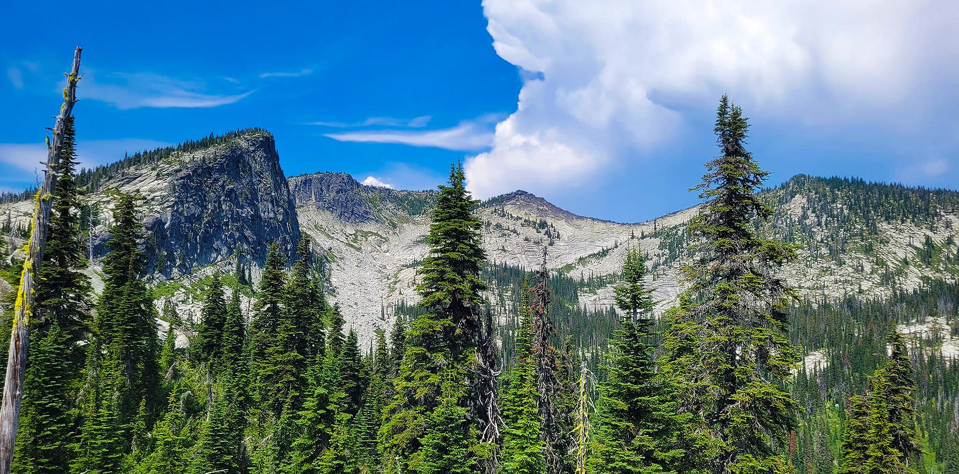 Guided Hunting Trips, Fishing Trips & Outdoor Adventures in Idaho